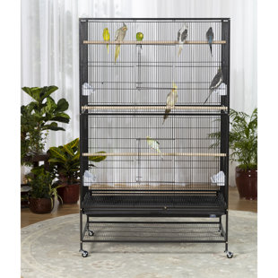 Rectangle 2024 bird cage